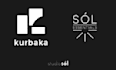 design your brand identity and visual systems
