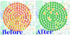do complete gmb audit and optimization