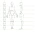 create clean and smooth 2d animation