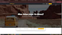 develop professional web application