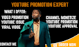 shoutout, promote youtube video to gain organic subscribers, monetization