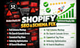 fix shopify ecommerce SEO website issues and schema errors to rank top on google