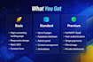 build a fast web app for your business or startup