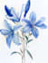 make paint watercolour botanical illustrations