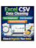 excel  CSV data cleaning and service