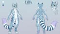 create furry reference sheet nsfw ref sheet furry ref sheet oc anthro character