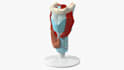 design medical device biomedical cad model product concept to prototype stl step