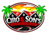 design a professional awesome roofing logo with source file