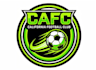 design a professional football logo