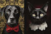 make custom pet portrait, dog portrait, cat portrait art