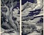 create awesome linocut illustration art