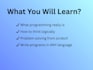 teach programming fundamentals and problem solving for beginners