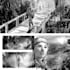 do comics book pages, storyboards, illustrations