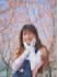 sakura photo shooting in hk