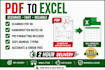 do pro PDF to excel data entry in 2 hours