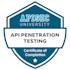 secure your website and app with penetration testing