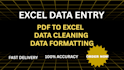 do exact excel data entry, formatting and data cleaning