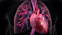 create medical and scientific illustrations