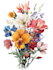 make paint watercolour botanical illustrations