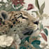 draw animal and botanical illustrations
