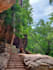 plan your perfect sri lanka trip as a local expert