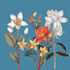 draw botanical illustration flower, plant