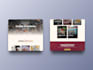 design and develop a fast, modern, custom coded website