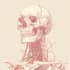 create professional medical and anatomical illustrations