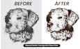 do manual vector tracing, vector conversion and logo vectorization