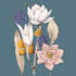 draw vector botanical illustrations of plants