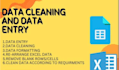 do ms excel data cleaning and quick data entry and create free ms access dbase