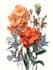 draw botanical illustration flower, plant
