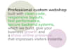 create ecommerce website, online store, webshop
