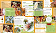 design a bar or restaurant menu