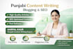 write high quality punjabi content