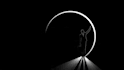 create a professional silhouette logo and silhouette object