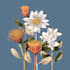draw botanical illustration flower, plant