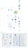 design, configure and manage your azure cloud environment