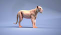 create realistic 3d animal models in blender for animation