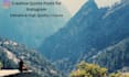 design instagram quote and motivational posts in canva