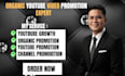do organic video promotion, channel manager, youtube shoutout