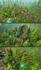design 3d game environments for unity and unreal  engine