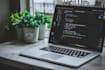 do web design, development and programming