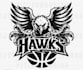 do eagle phoenix hawk fire burning flame mascot logo design