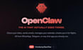 professionally set up and configure openclaw