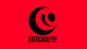 2d animate your logo