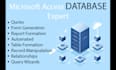 develop microsoft access database projects for you