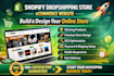 create shopify dropshipping store ecommerce website build online store design