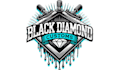 create an elegant diamond logo design
