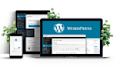 design and build your premium wordpress websites